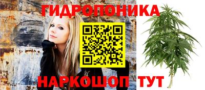 каннабис Кулебаки