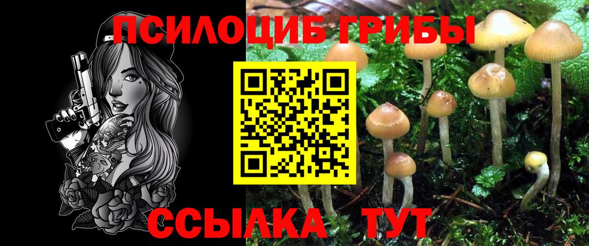 Хасавюрт  продажа наркотиков  Вход с VPN  Псилоцибиновые грибы мицелий 